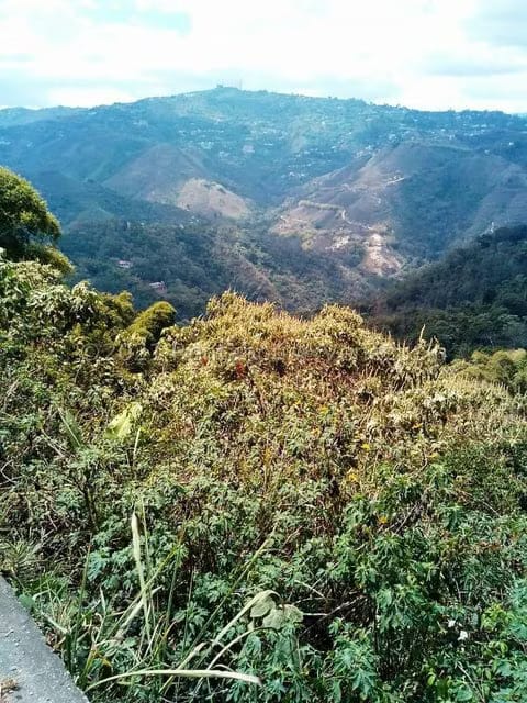 Terreno (Finca) en Venta en Sabaneta, Distrito Metropolitano - 10