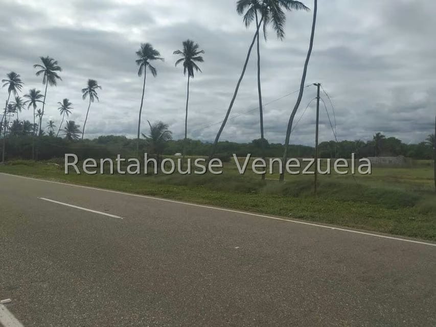 Terreno (Residencial) en Venta en Boca de Aroa, Falcon - 2