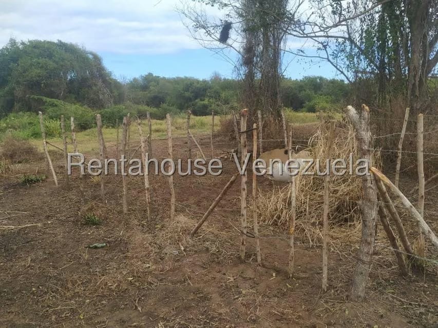 Terreno (Residencial) en Venta en Boca de Aroa, Falcon - 12