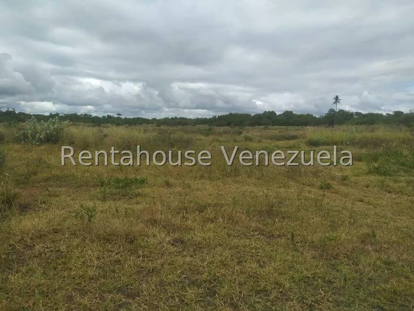 Terreno (Residencial) en Venta en Boca de Aroa, Falcon - 3