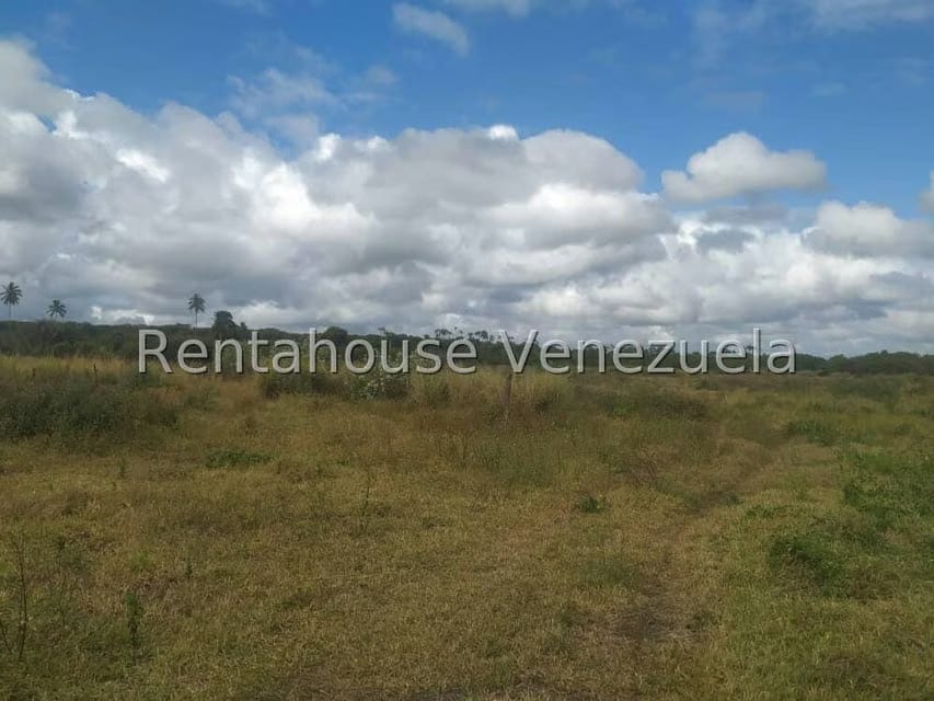 Terreno (Residencial) en Venta en Boca de Aroa, Falcon - 4