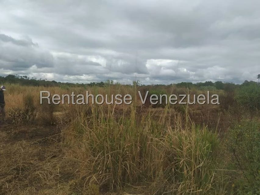 Terreno (Residencial) en Venta en Boca de Aroa, Falcon - 7