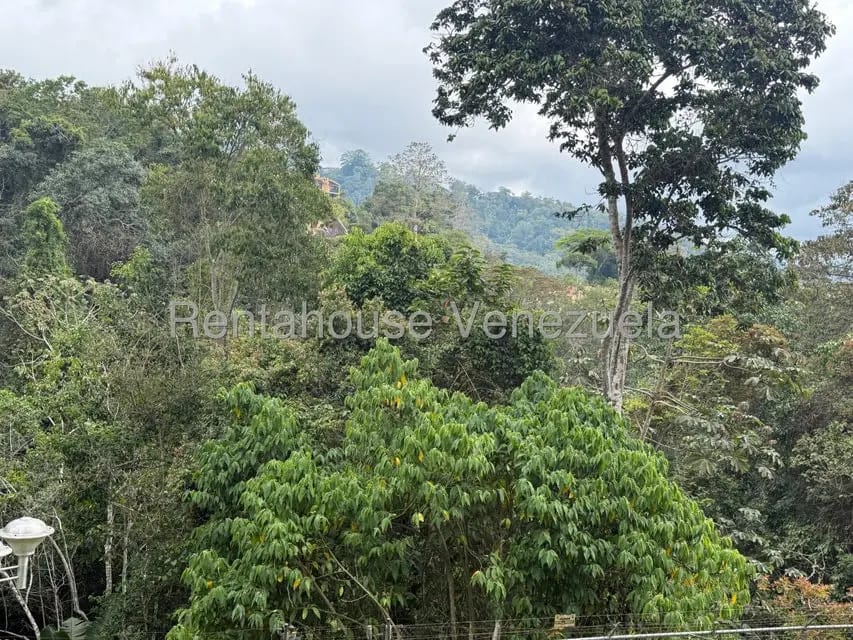 Apartamento (Duplex) en Venta en Parcelamiento Cortada del guayabo, Miranda - 49