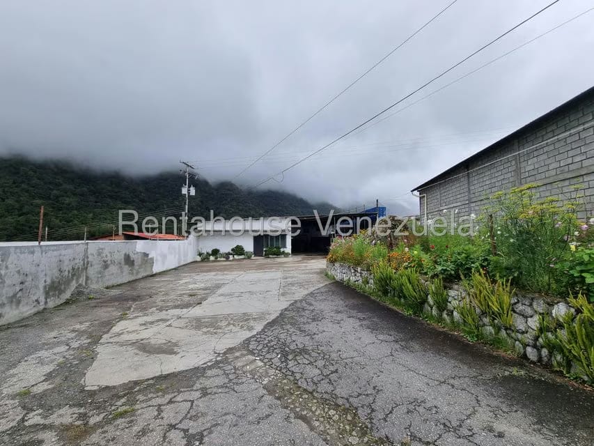 Terreno (Comercial) en Venta en Pueblo Viejo, Merida - 2