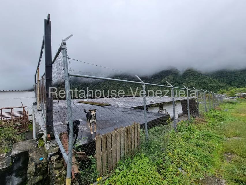 Terreno (Comercial) en Venta en Pueblo Viejo, Merida - 32