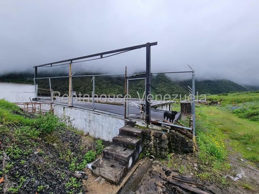 Terreno (Comercial) en Venta en Pueblo Viejo, Merida - 33