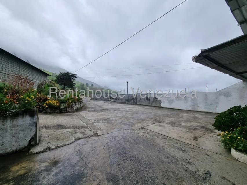 Terreno (Comercial) en Venta en Pueblo Viejo, Merida - 6