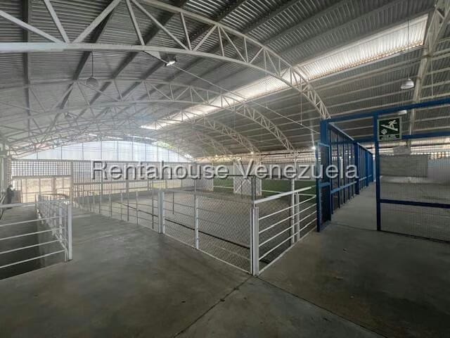 Comercial (Galpon - Deposito) en Venta en Rio Tuy, Miranda - 12