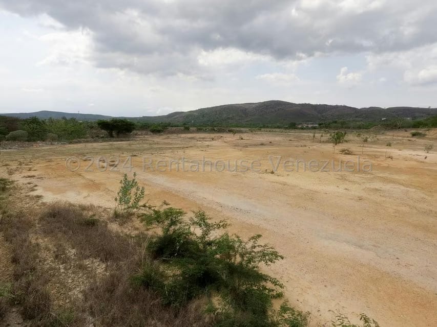 Terreno (Industrial) en Venta en Municipio Peña, Yaracuy - 3