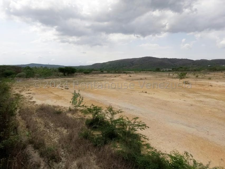 Terreno (Industrial) en Venta en Municipio Peña, Yaracuy - 6