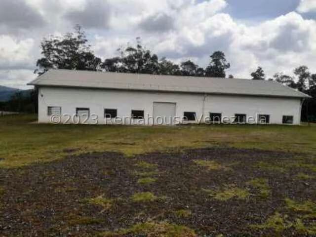 Comercial (Galpon - Deposito) en Venta en El Junquito, Distrito Metropolitano - 15