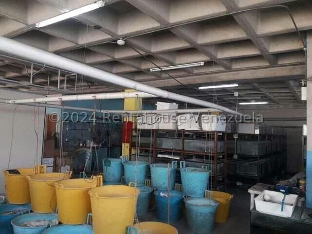 Comercial (Industrial) en Venta en La Urbina, Distrito Metropolitano - 5