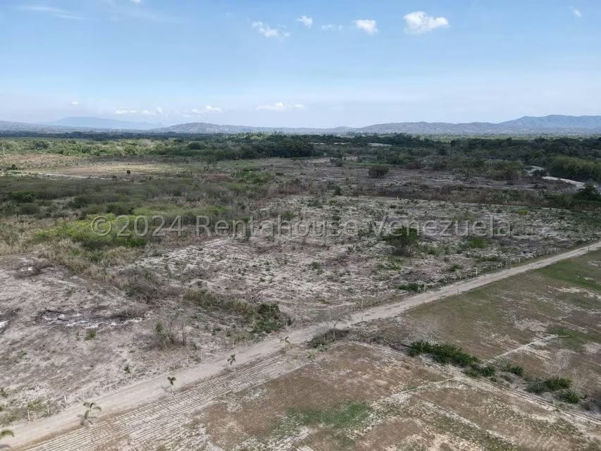 Terreno (Comercial) en Venta en Municipio Peña, Yaracuy - 22