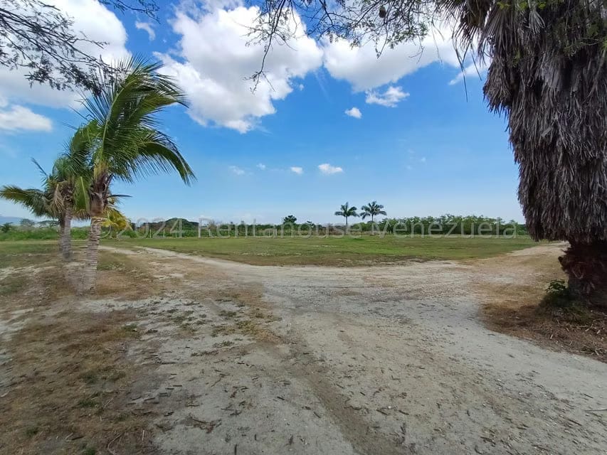 Terreno (Comercial) en Venta en Municipio Peña, Yaracuy - 7