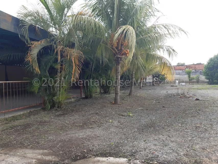 Terreno (Comercial) en Venta en Centro Palo Negro, Aragua - 30