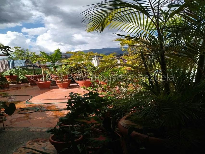 Apartamento (1 Nivel) en Venta en Los Rosales, Distrito Metropolitano - 60