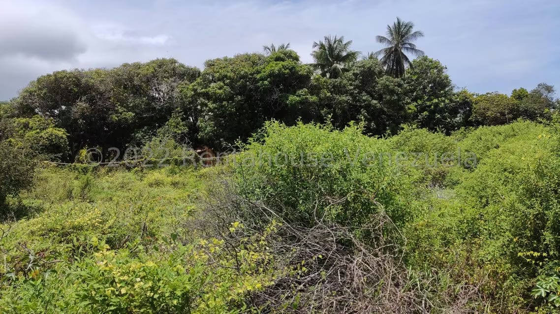 Terreno (Comercial) en Venta en Playa El Agua, Nueva Esparta - 2