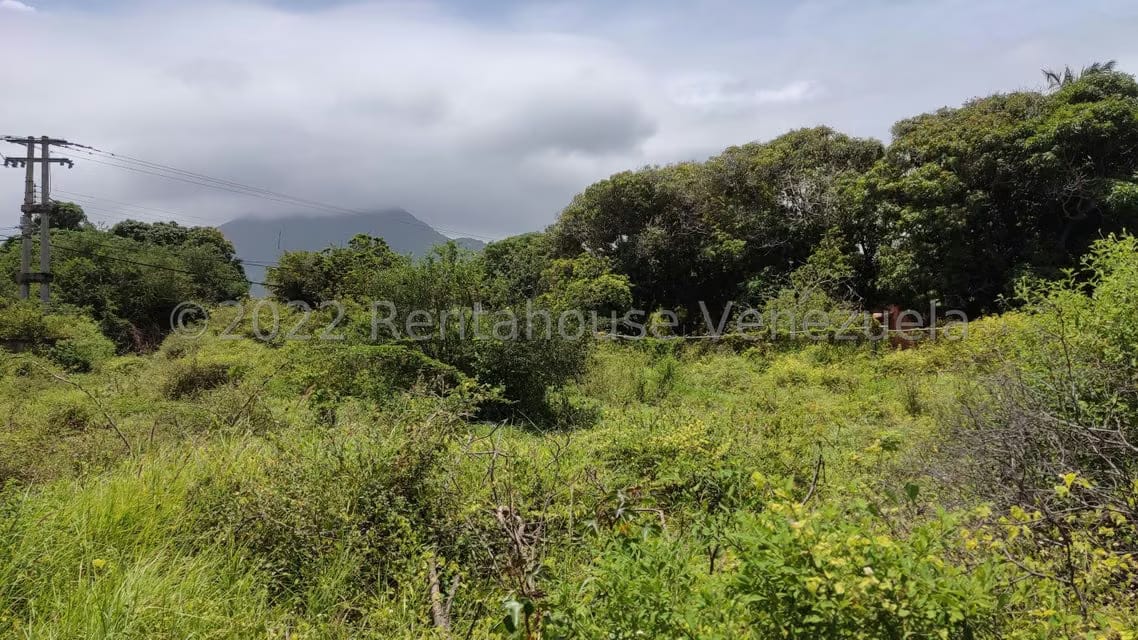 Terreno (Comercial) en Venta en Playa El Agua, Nueva Esparta - 3