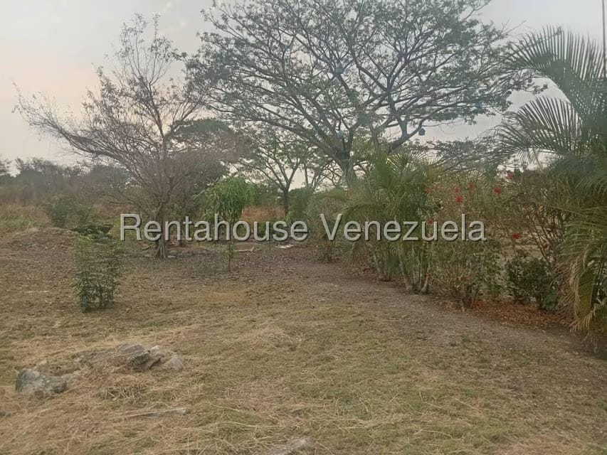 Terreno (Comercial) en Venta en Flor Amarillo, Carabobo - 3