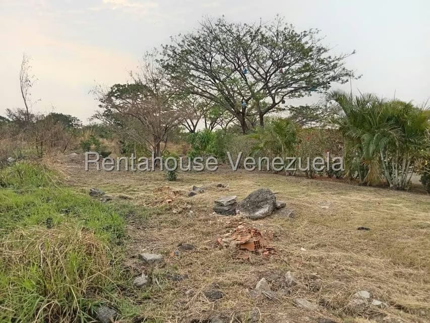 Terreno (Comercial) en Venta en Flor Amarillo, Carabobo - 6