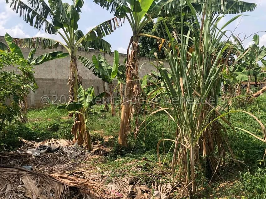 Terreno (Finca) en Venta en Barrera, Carabobo - 11