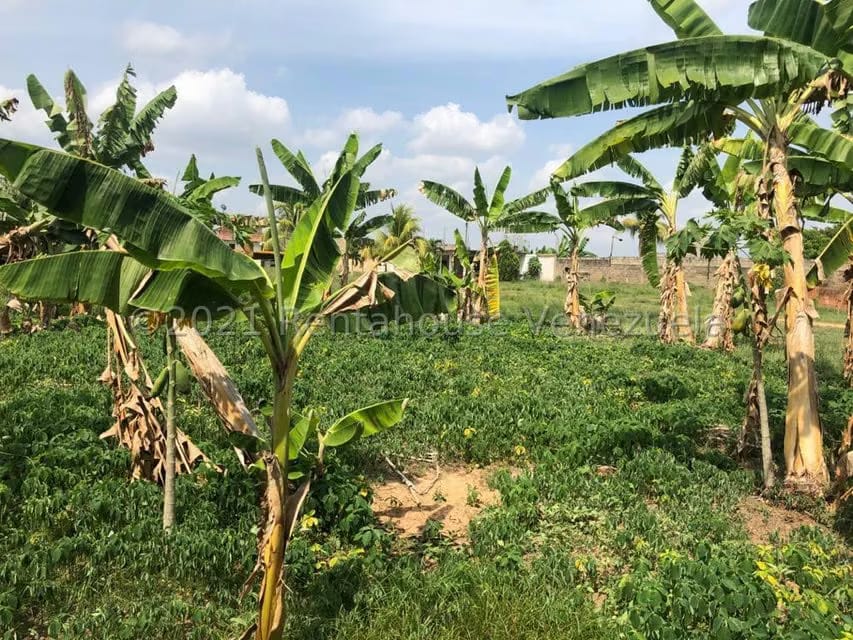 Terreno (Finca) en Venta en Barrera, Carabobo - 13