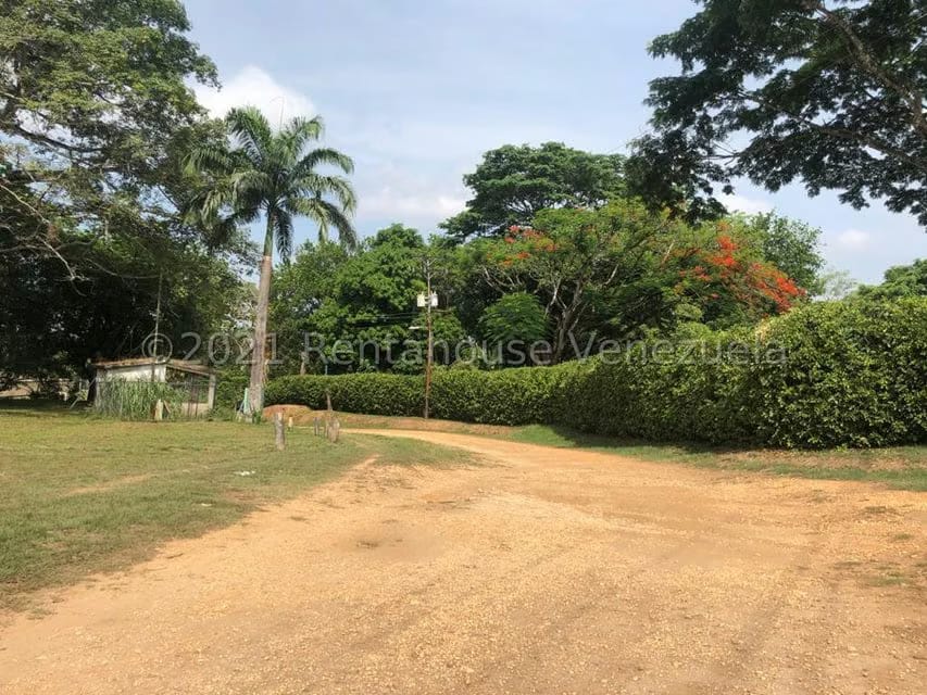 Terreno (Finca) en Venta en Barrera, Carabobo - 3