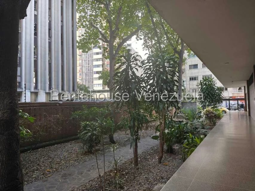 Comercial (Oficina) en Alquiler en Los Palos Grandes, Distrito Metropolitano - 3