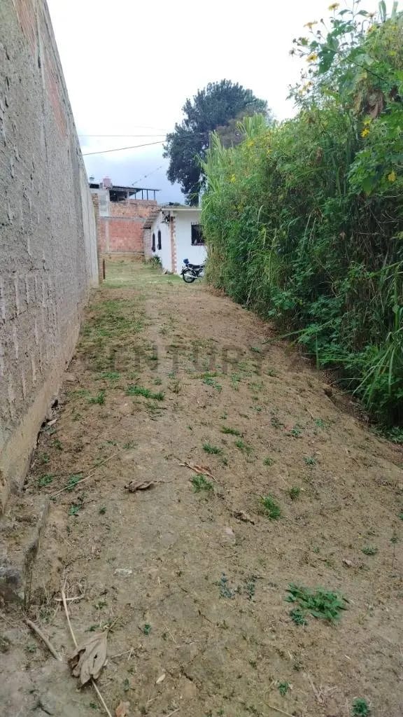 Venta Terreno Tucape - 6
