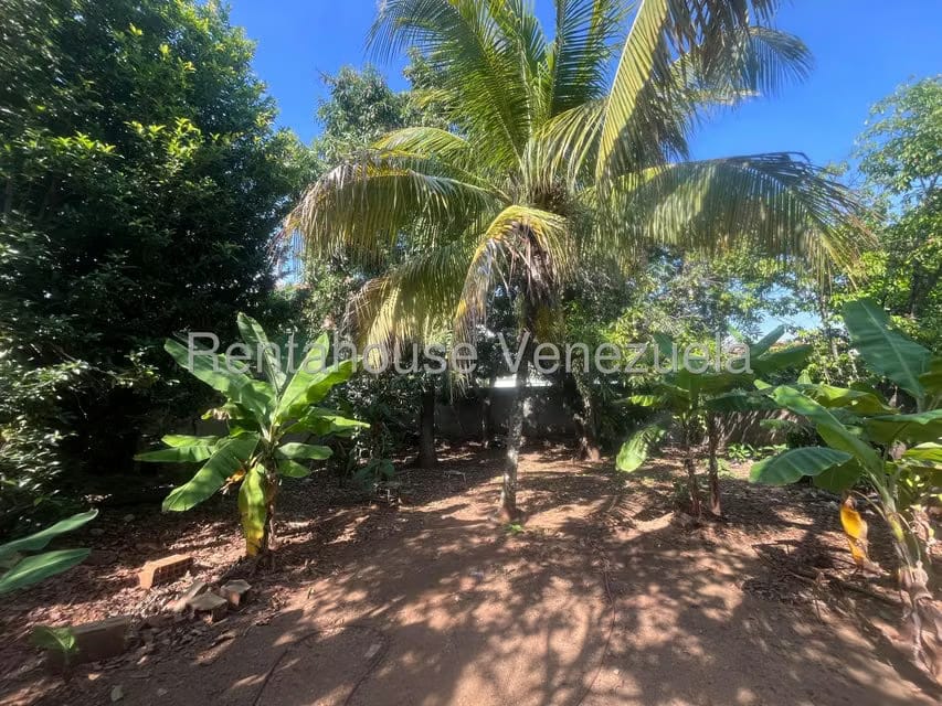 Casa (1 Nivel) en Venta en Parroquia Catedral, Lara - 16