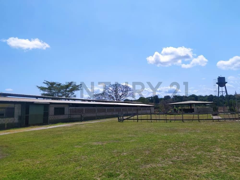 Finca en Valles del Tuy de 6,45 hectáreas, ideal para la cría de caballos TC