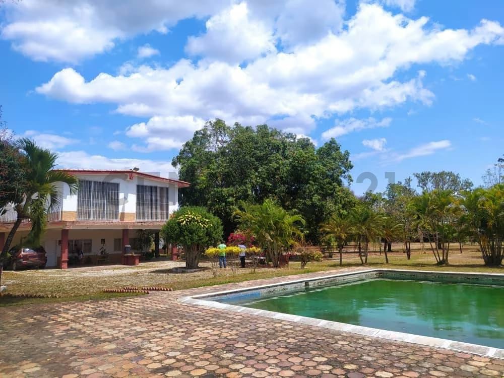 Finca en Valles del Tuy de 6,45 hectáreas, ideal para la cría de caballos TC - 6