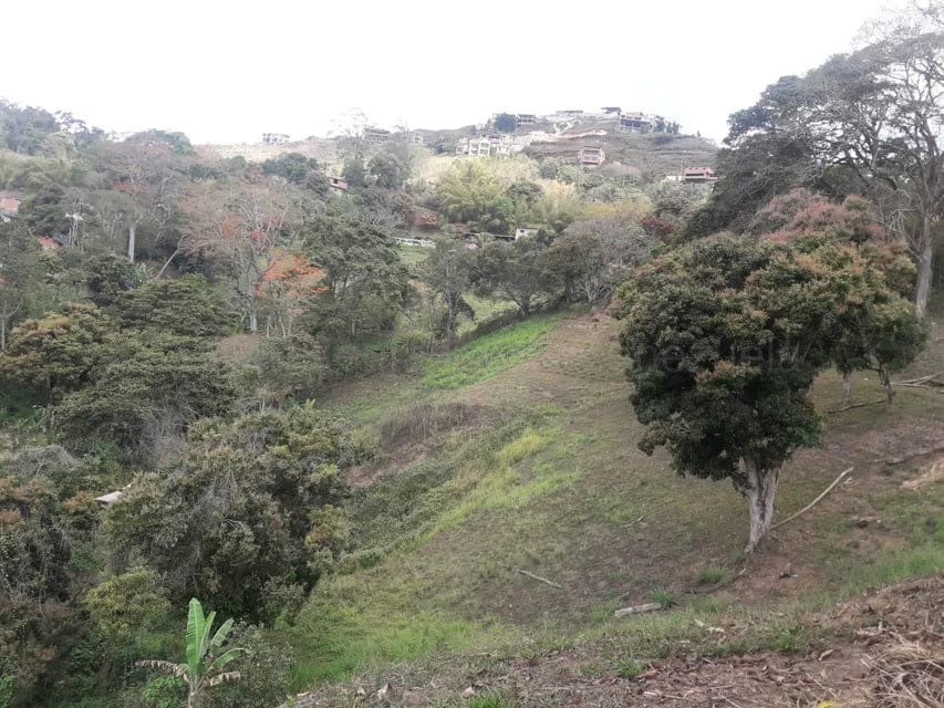 Terreno (Comercial) en Venta en Oripoto, Distrito Metropolitano - 2