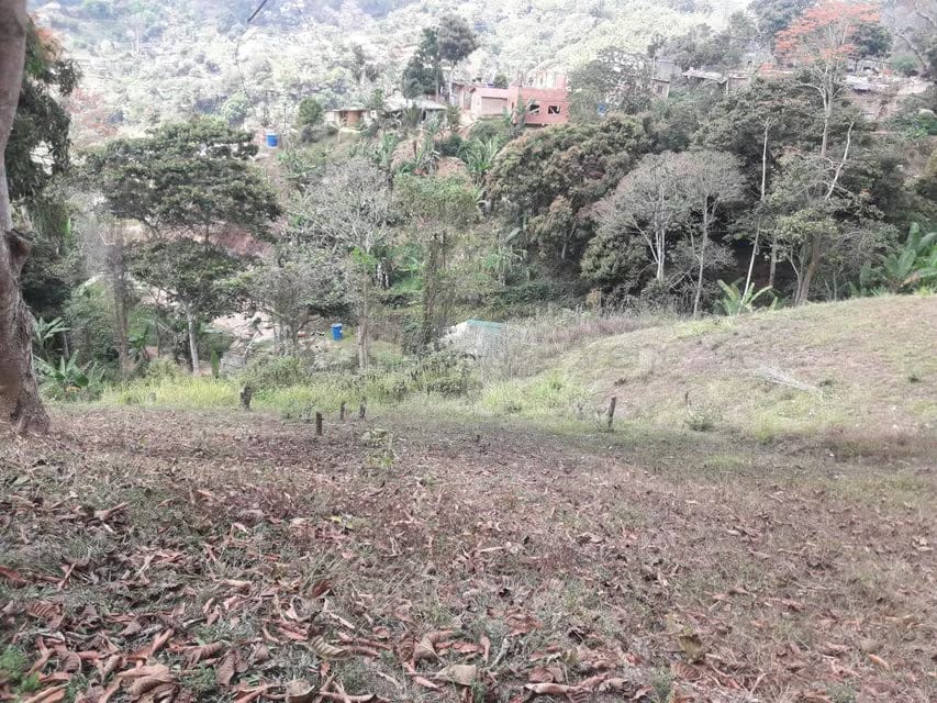 Terreno (Comercial) en Venta en Oripoto, Distrito Metropolitano - 11