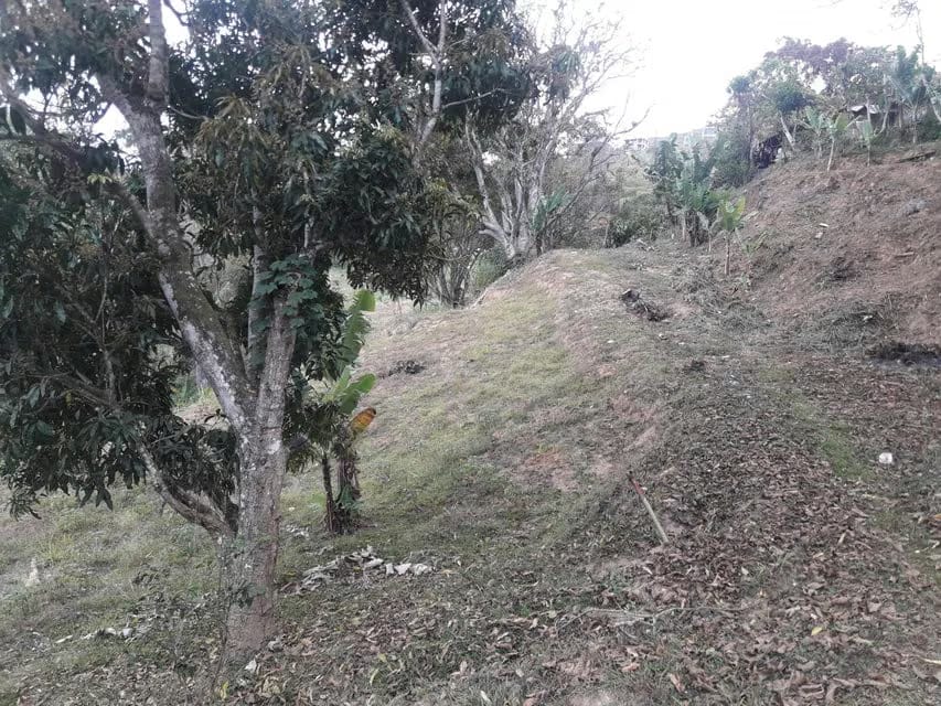 Terreno (Comercial) en Venta en Oripoto, Distrito Metropolitano - 12