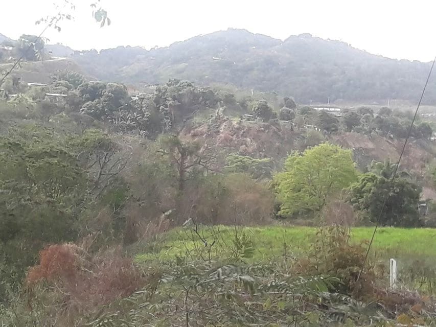 Terreno (Comercial) en Venta en Oripoto, Distrito Metropolitano - 16