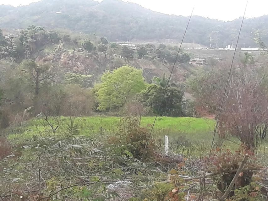 Terreno (Comercial) en Venta en Oripoto, Distrito Metropolitano - 17