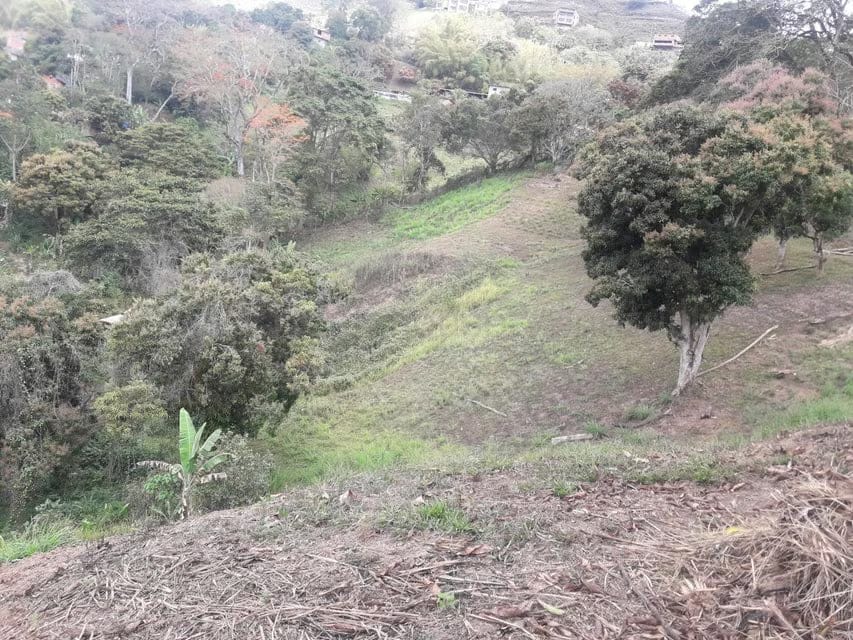 Terreno (Comercial) en Venta en Oripoto, Distrito Metropolitano - 3