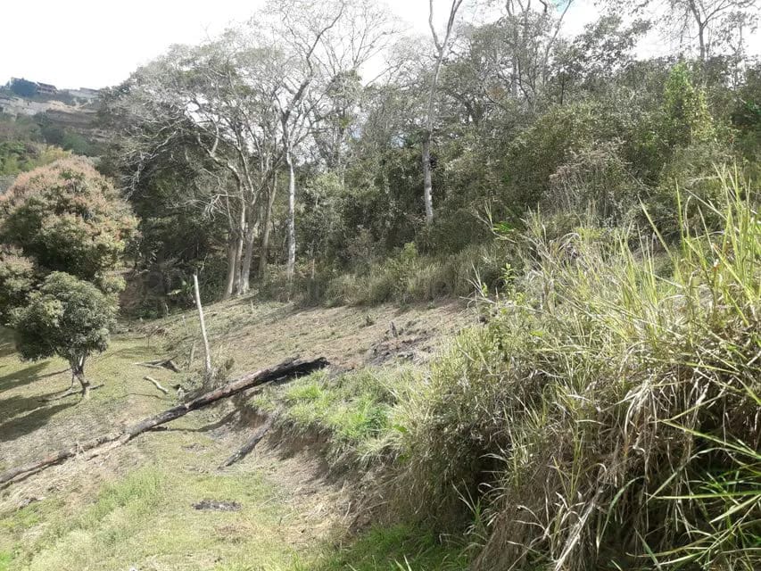 Terreno (Comercial) en Venta en Oripoto, Distrito Metropolitano - 8