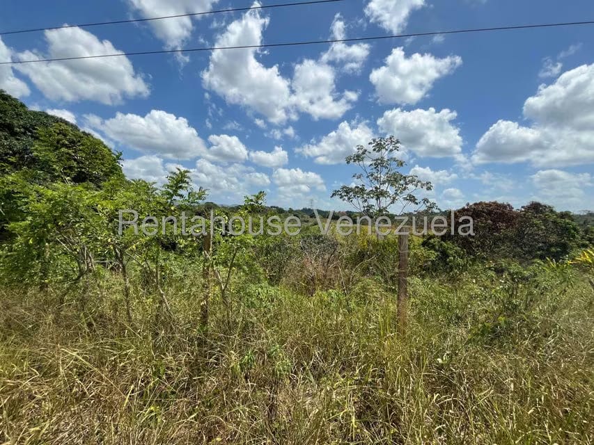 Terreno (Finca) en Venta en Merecure, Miranda - 3