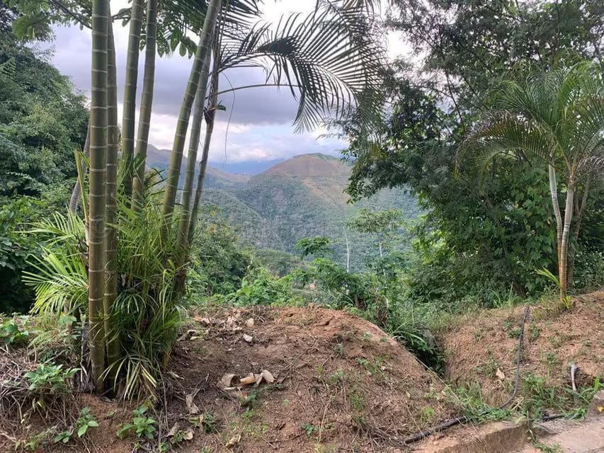 Terreno (Residencial) en Venta en Caicaguana, Distrito Metropolitano - 11