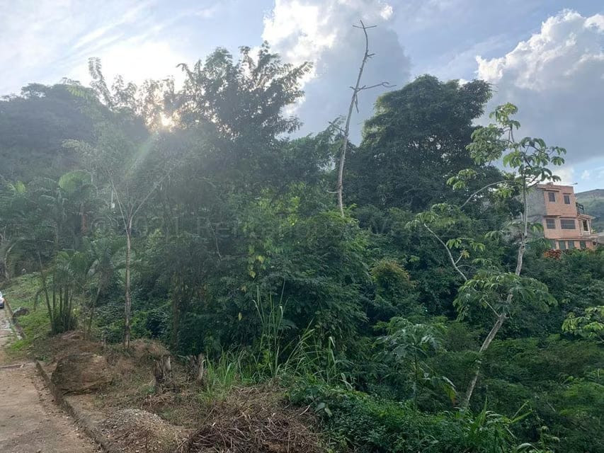 Terreno (Residencial) en Venta en Caicaguana, Distrito Metropolitano - 10