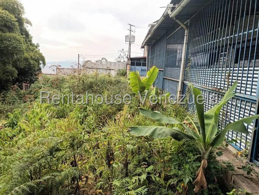 Comercial (Galpon - Deposito) en Venta en Mariche, Distrito Metropolitano - 36