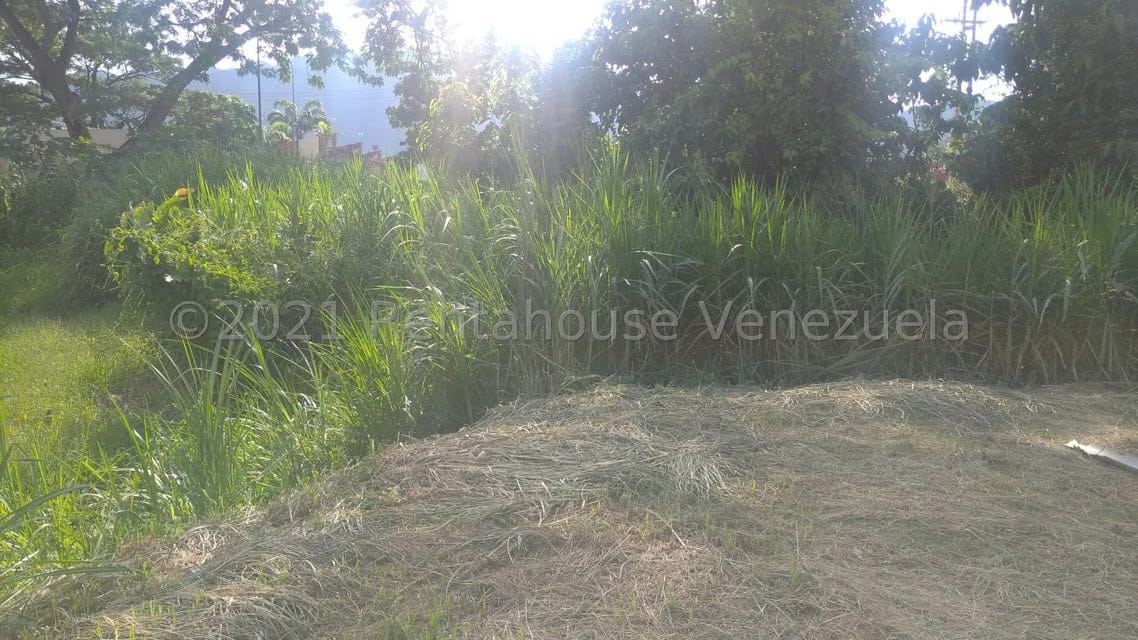 Terreno (Comercial) en Venta en Pueblo de San Diego, Carabobo - 3