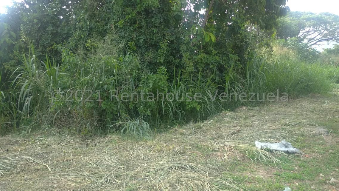 Terreno (Comercial) en Venta en Pueblo de San Diego, Carabobo - 7