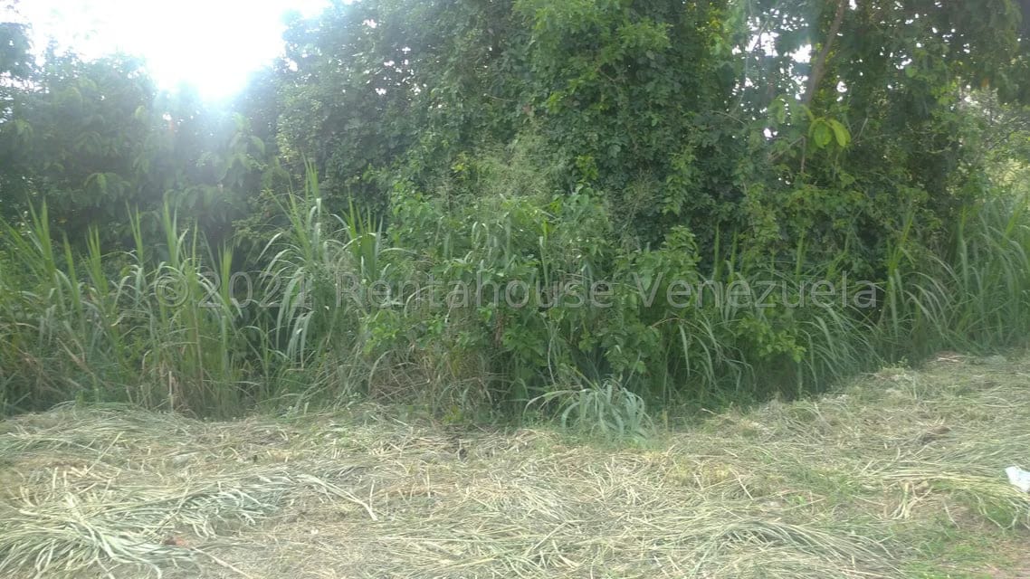 Terreno (Comercial) en Venta en Pueblo de San Diego, Carabobo - 8