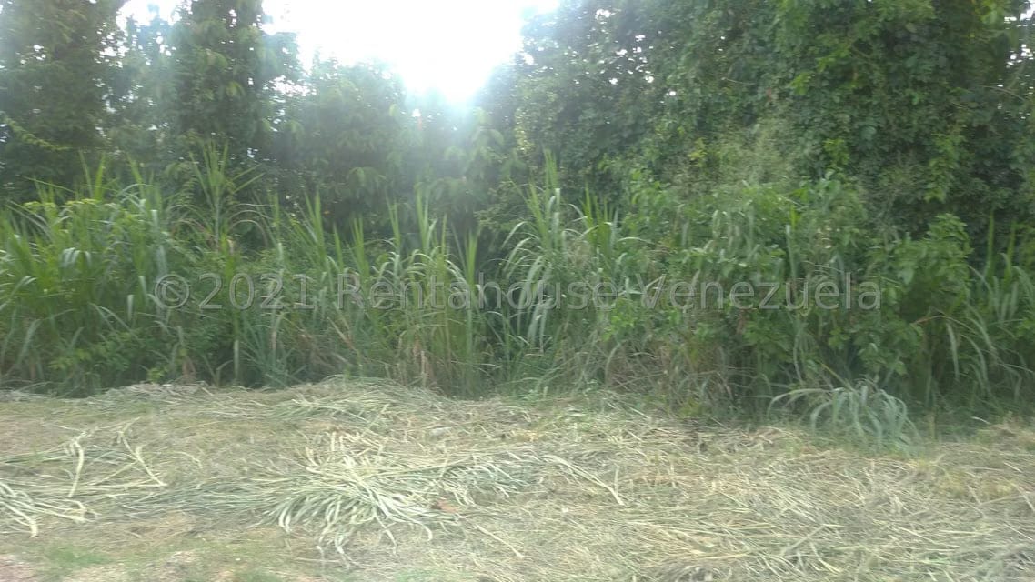 Terreno (Comercial) en Venta en Pueblo de San Diego, Carabobo - 9