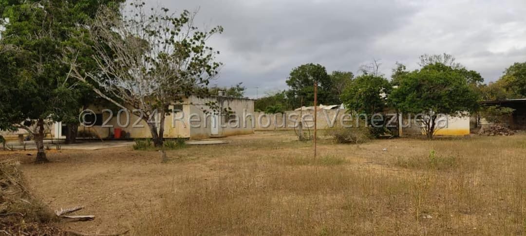 Casa (1 Nivel) en Venta en Parroquia Tamaca, Lara - 4