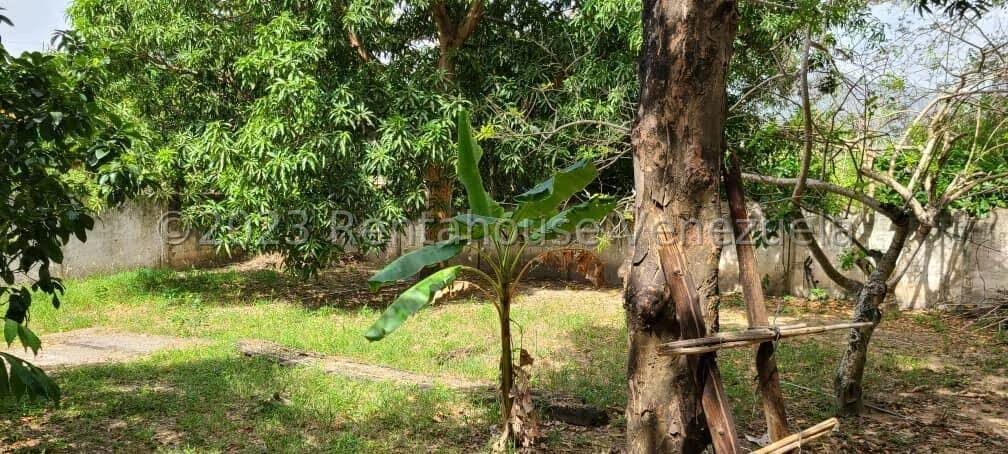 Terreno (Comercial) en Venta en La Asuncion, Nueva Esparta - 5