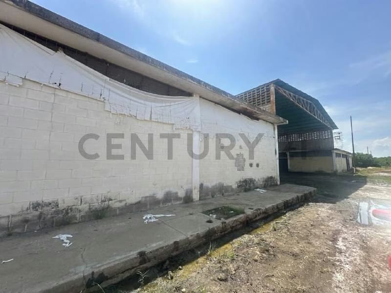Galpon Industrial Comercial en Venta en Los Haticos, Maracaibo - 3
